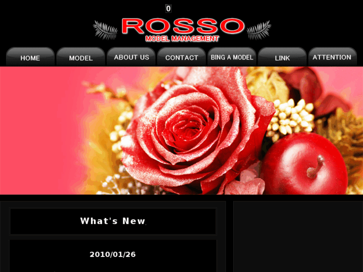 www.rosso-model.com