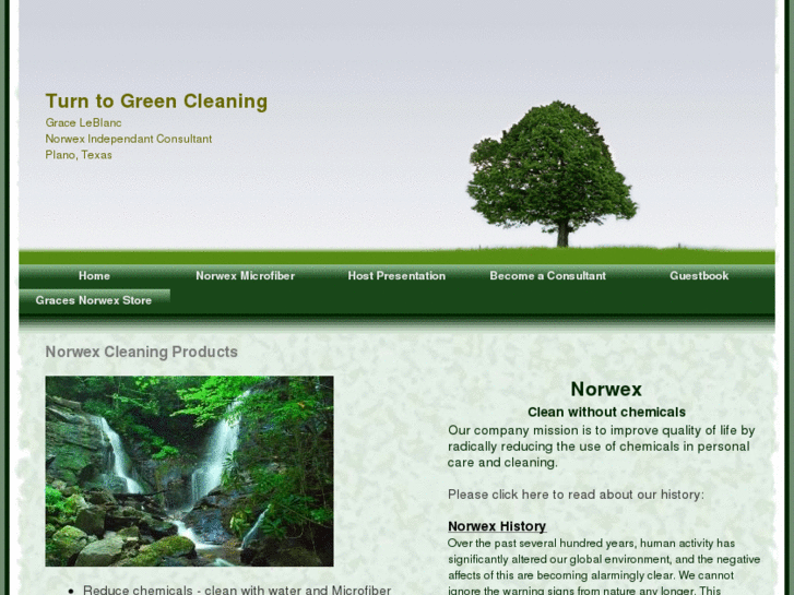 www.turn2greencleaning.com