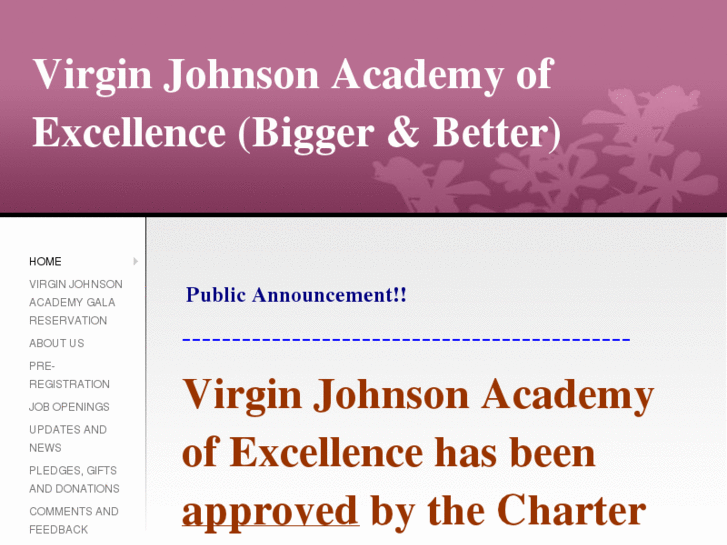 www.virginjohnsonacademy.com