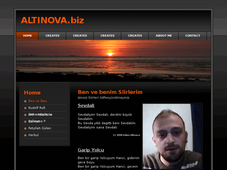 www.altinova.biz