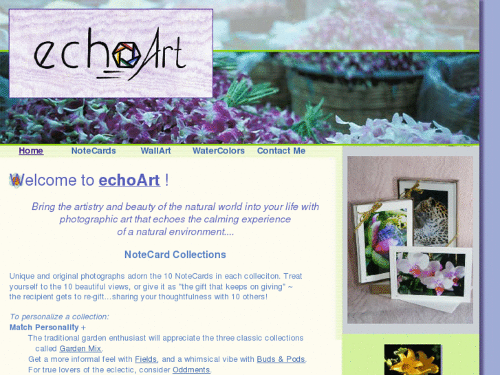 www.echoart.biz