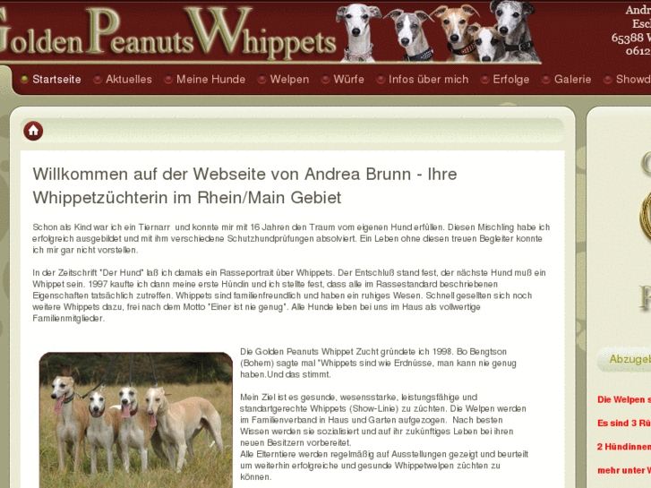 www.goldenpeanuts-whippets.de