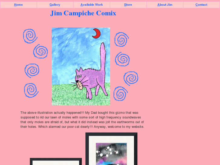 www.jimcampiche.com