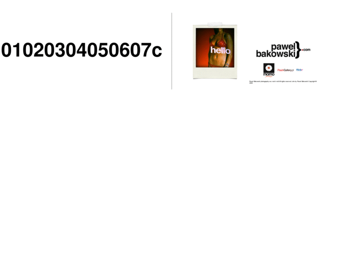 www.pawelbakowski.com
