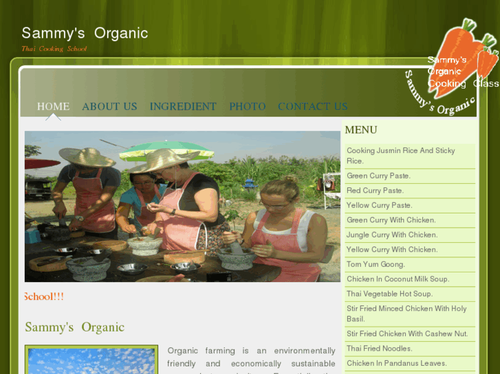 www.sammyorganiccooking.com