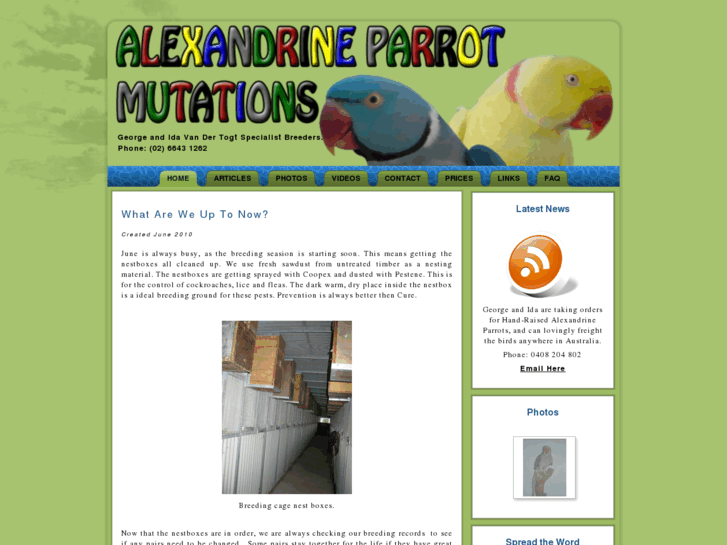 www.alexandrineparrotmutations.com