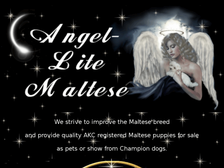 www.angel-litemaltese.com