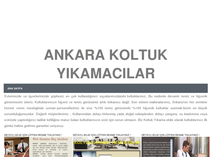 www.ankarakoltukyikamacilar.com