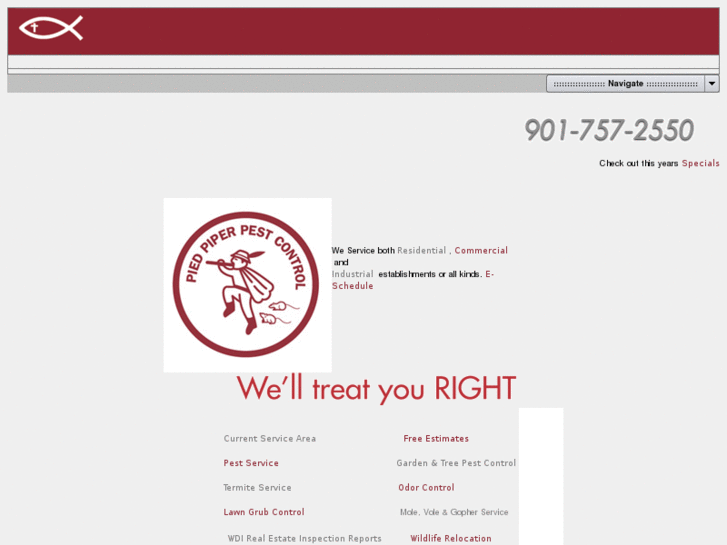 www.erasebugs.com