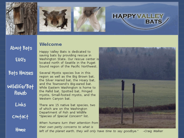 www.happyvalleybats.org