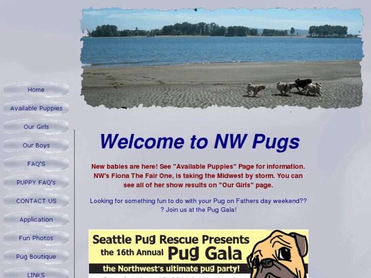 www.nwpugs.com