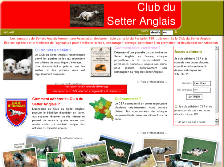 www.setter-anglais.org