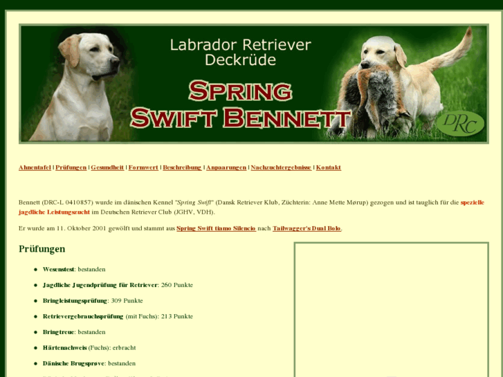 www.spring-swift-bennett.de