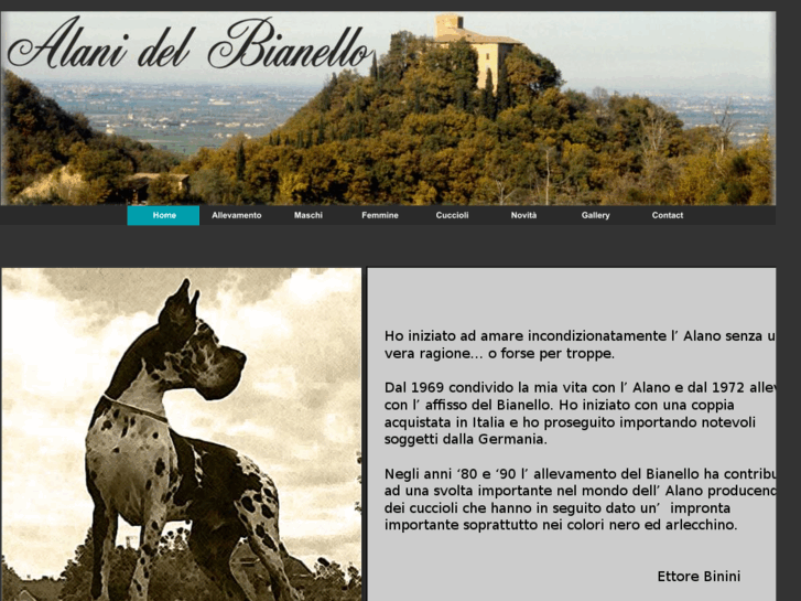 www.alanidelbianello.com