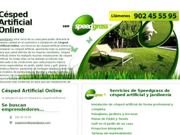 www.cespedartificialonline.com