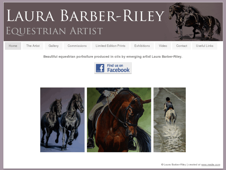 www.laurabarber-riley.com