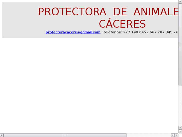www.protectoracaceres.com