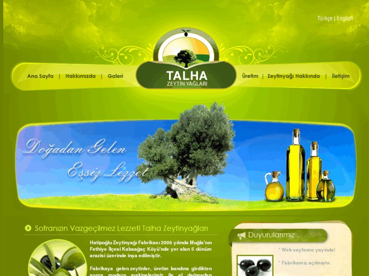 www.talhazeytinyaglari.com