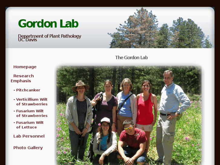 www.thegordonlab.net