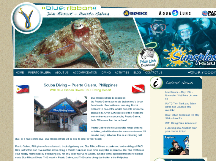 www.blueribbondivers.com