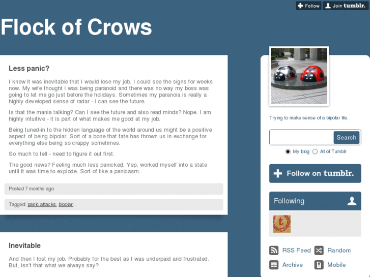 www.flockofcrows.com