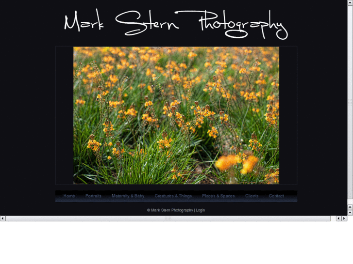 www.marksternphoto.com