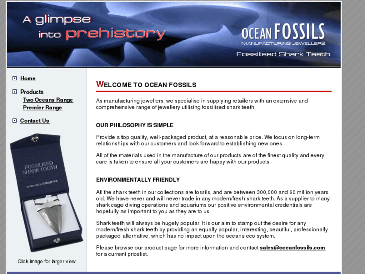 www.oceanfossils.com