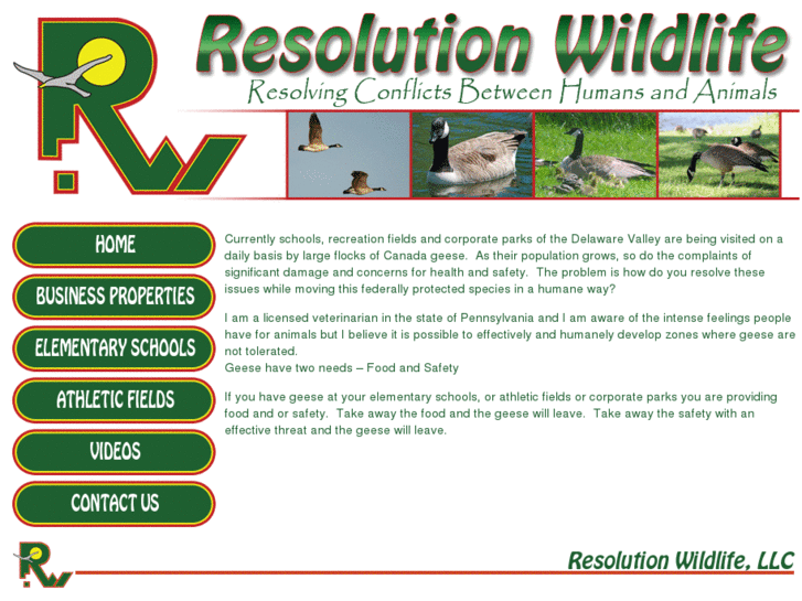 www.resolutionwildlife.com