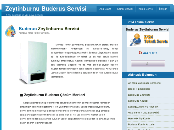 www.zeytinburnubuderusservisi.net