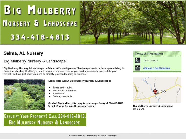 www.bigmulberrynursery.com