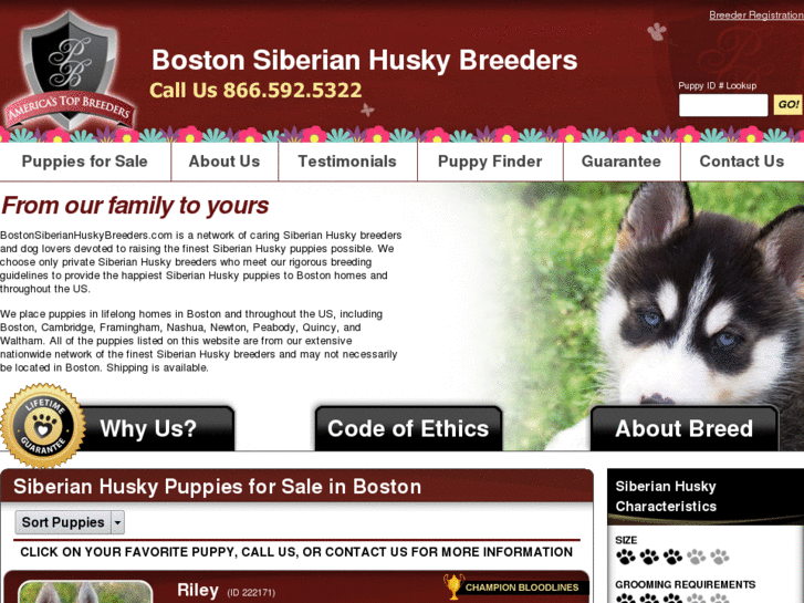 www.bostonsiberianhuskybreeders.com