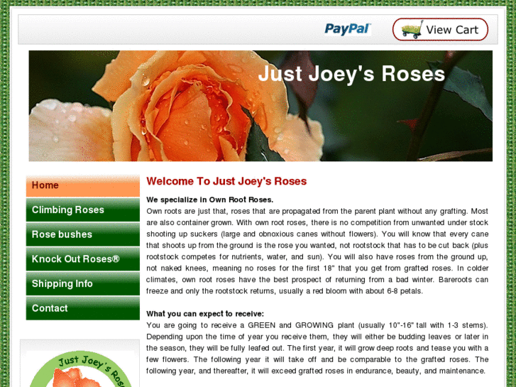 www.justjoeysroses.com