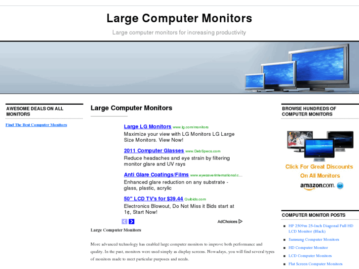 www.largecomputermonitors.net