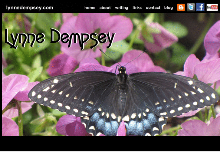 www.lynnedempsey.com