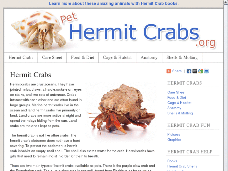 www.pethermitcrabs.org