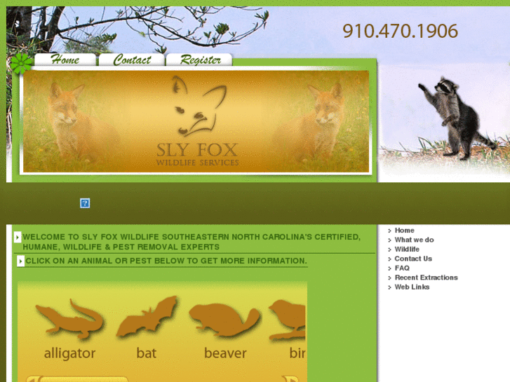 www.slyfoxwildlife.com