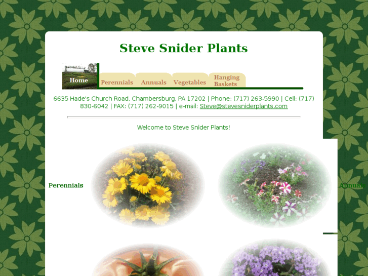 www.stevesniderplants.com