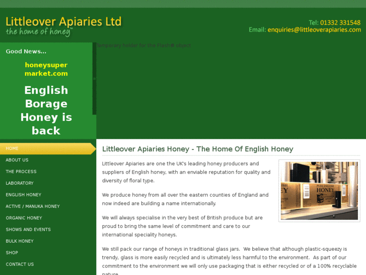 www.activeenglishhoney.com