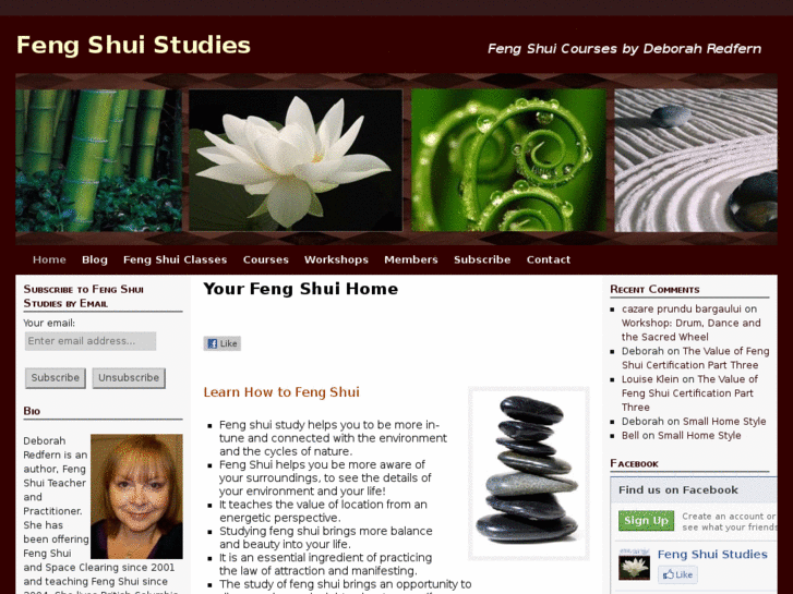 www.fengshuistudies.com