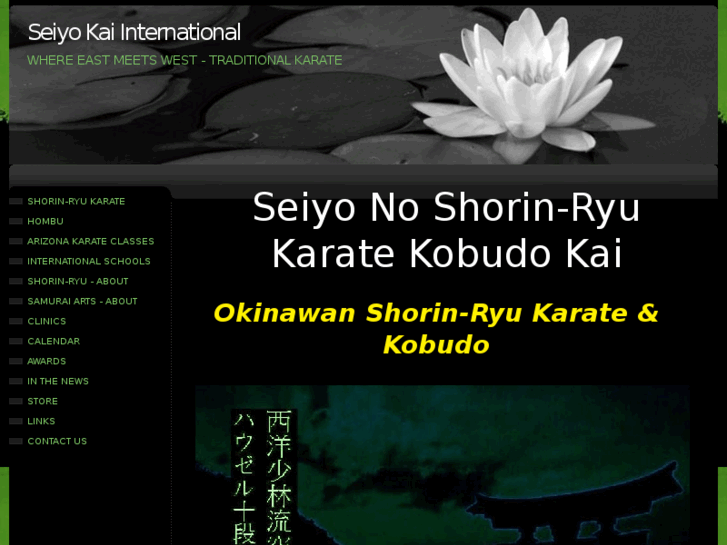 www.seiyo-shorinryu.com