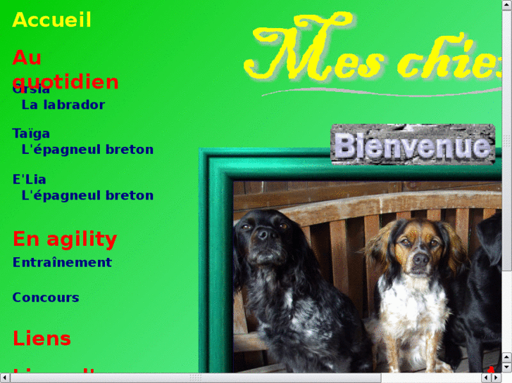 www.agility-epagneul-breton.com