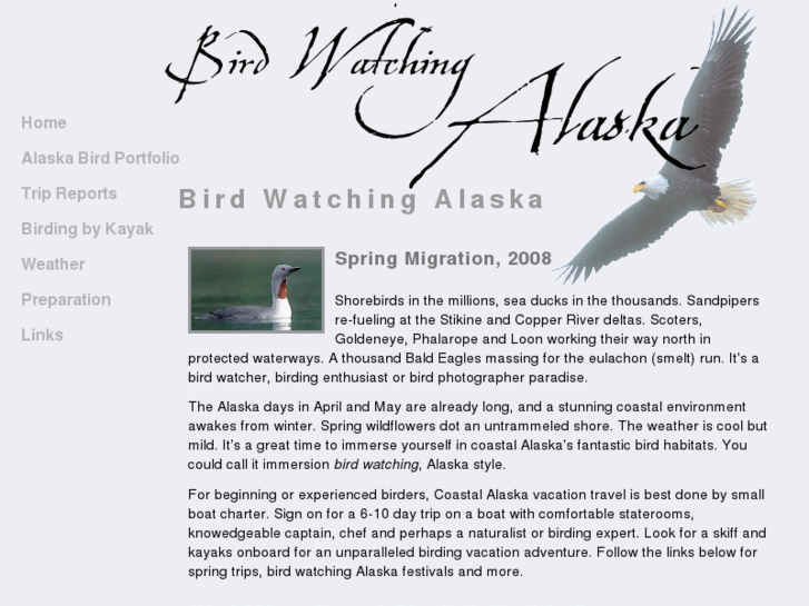www.birdwatchingalaska.com