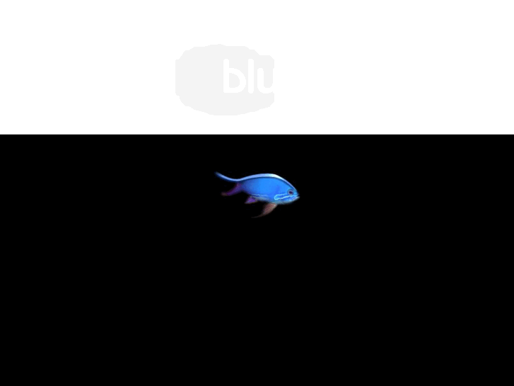 www.bluefish.co.uk