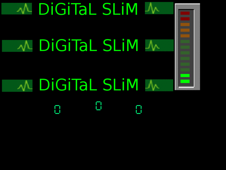 www.digitalslim.com