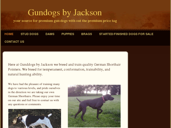 www.gundogsbyjackson.com