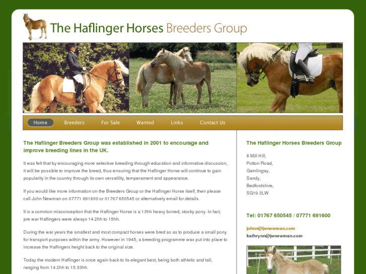 www.haflingerhorses.org