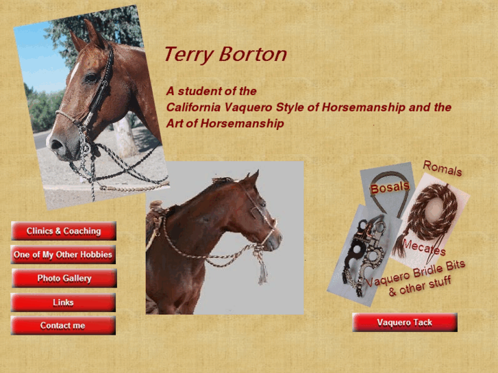 www.terryborton.com