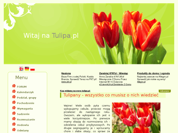 www.tulipa.pl