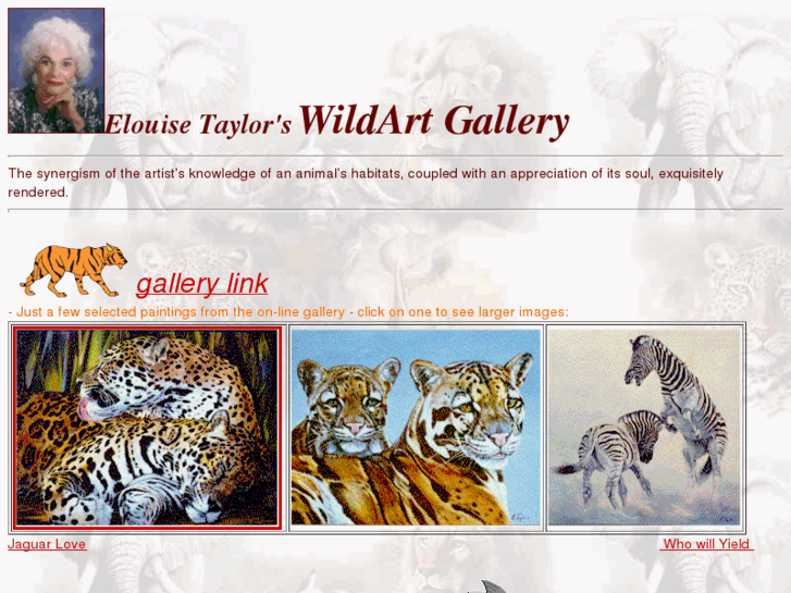 www.wildartgallery.com