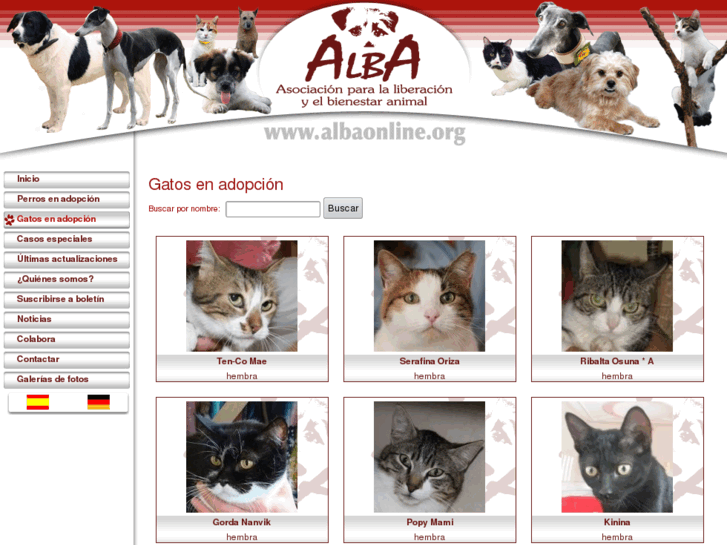 www.adoptaungato.org